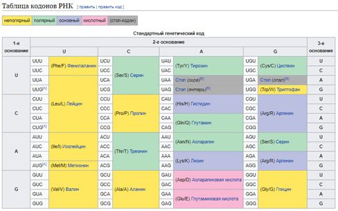 RNA codon table