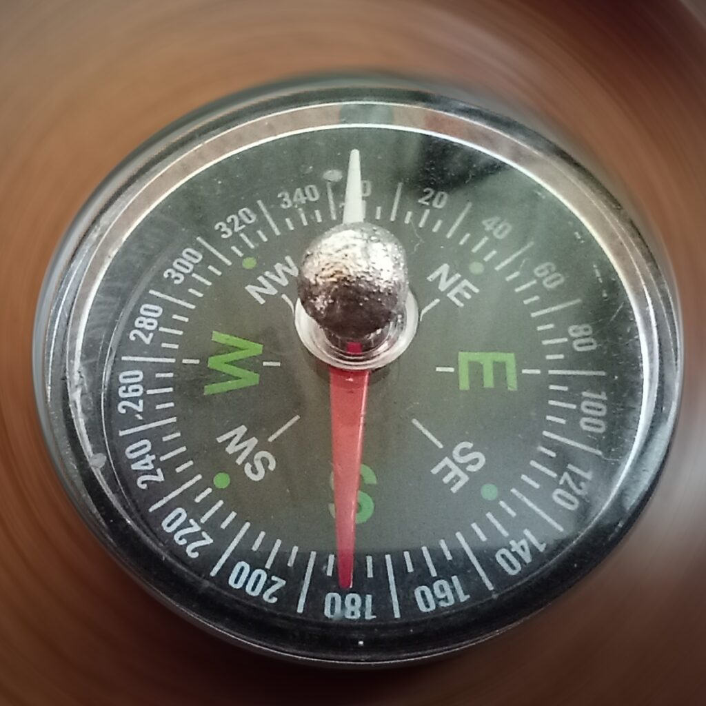 Rasamani